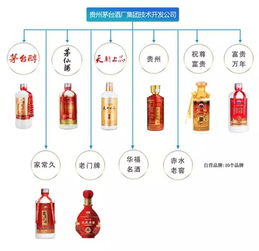 茅臺(tái)酒品鑒與營(yíng)銷策略 技術(shù)開(kāi)發(fā)賦能品牌新生態(tài)